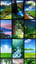 Nature Puzzle and Wallpapers截图5