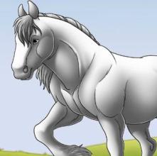 Interactive Horse Coloring Book截图1