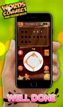 Connect Words Free Puzzle Game截图5