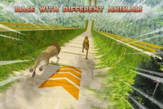 Wild Animal: Extreme Ramp Racing截图4