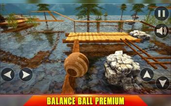 Extreme Ball Balance 3D截图5