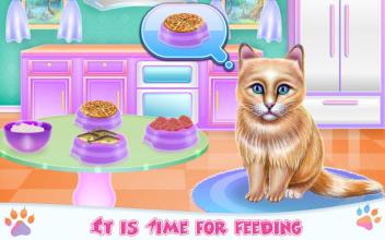 Kitty Spa and Feeding截图3