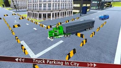 Real Truck Parking Adventure 3D截图2