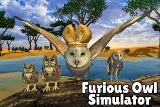 Furious Owl Simulator截图1