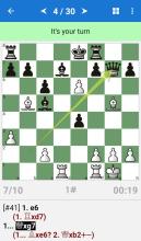 Chess Middlegame V截图1