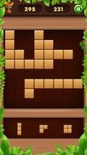 Wood Block Puzzle King截图1