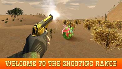 Watermelon Shooter - Shooting Range Master截图1