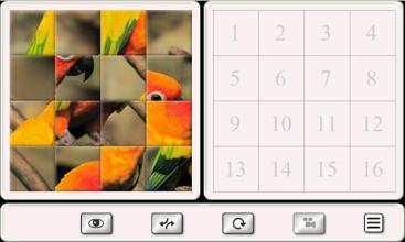 Guess the Bird. Tile Puzzle.截图5