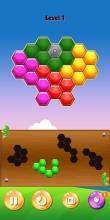 Honeycomb Puzzle Hero截图1