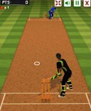 Hit For Six - Caribbean Cricket截图2