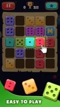 Dominoes Merge : Block Puzzle截图5