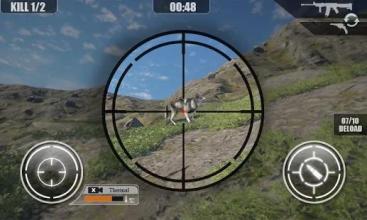 Animal Hunting Sport Wild Hunter Sniper 3D截图5