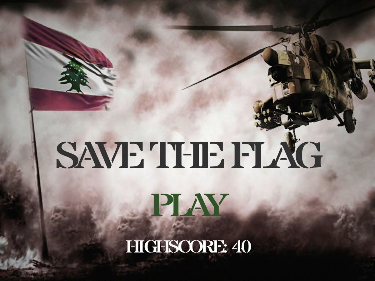 Save The Flag截图1