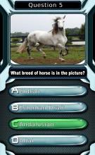 My Horse & Pony Breeds Quiz HD截图4