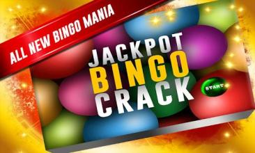 Jackpot Bingo Crack Free截图4