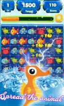 Fish Match Link截图3