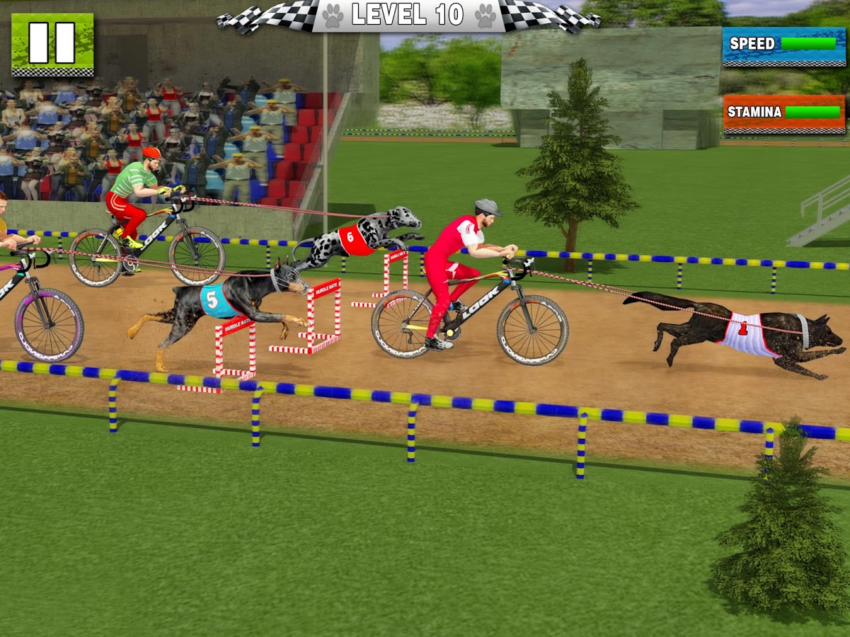 Dog Bikejoring: Bicycle Rider & K9 Dog Racing Game截图2