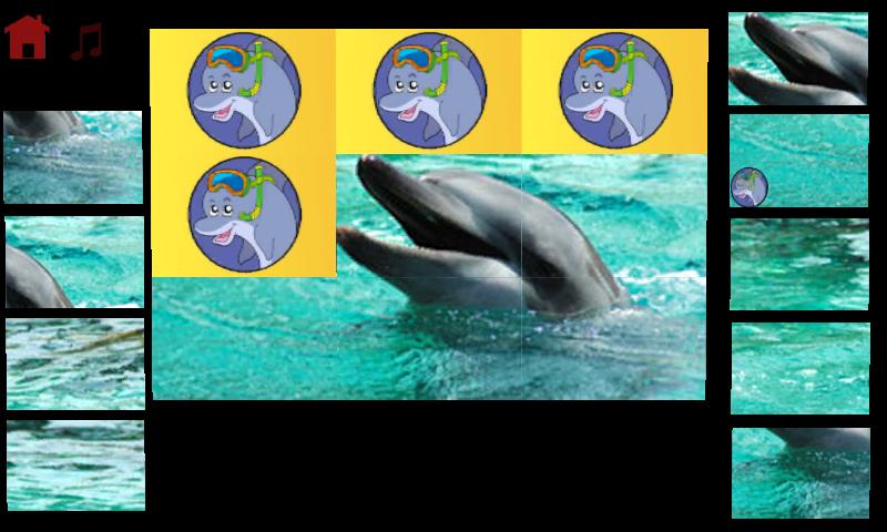 dolphins puzzle for kids截图4