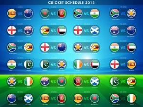 Cricket Game Championship 2019截图1