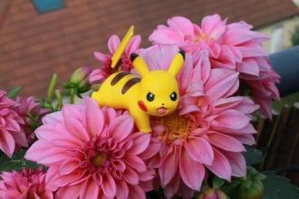 Pikachu Game for Kids截图5