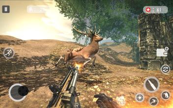 Deer Hunter 2018 - Modern Hunter - Animal Hunt截图4