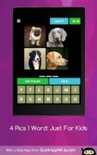 4 Pics 1 Word: Just For Kids截图5