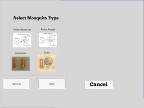 mosquito/NET截图1