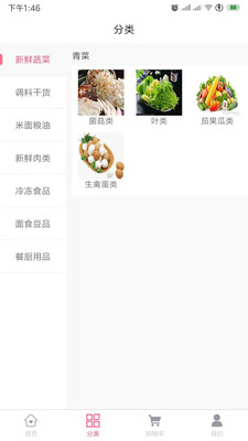 菜食无忧截图2