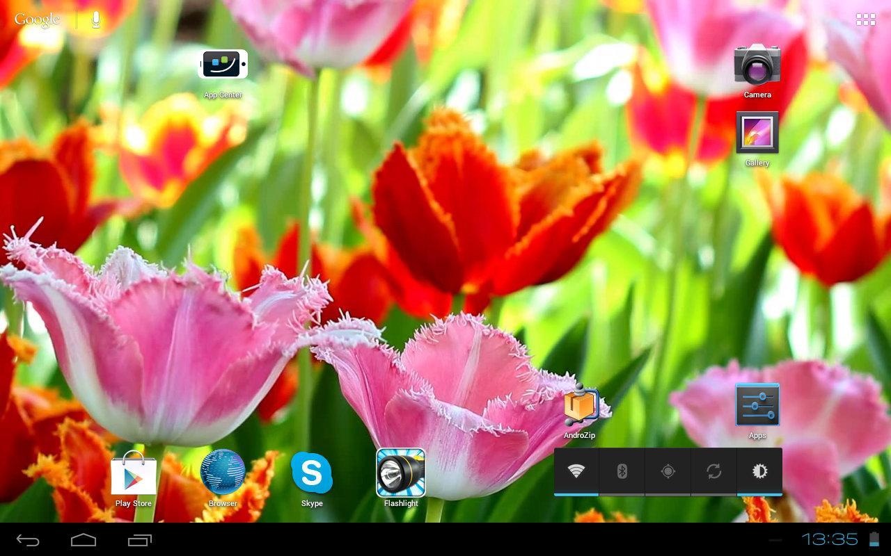 3D Fascinating Tulips Free截图6