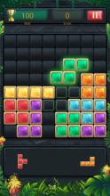 Block Puzzle Jewel Classic  Block Puzzle Game截图3