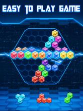 Block Puzzle Classic Hexagon截图1