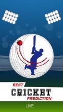 BPL Cricket Prediction截图1