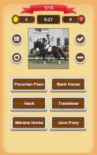 Horse Quiz截图2