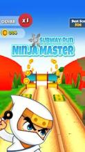 Ninja Master截图2