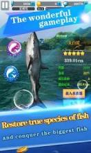 Fishing Everyday截图3