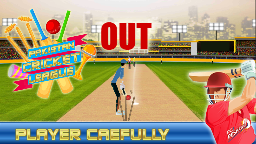 PCL Cricket Fever截图4