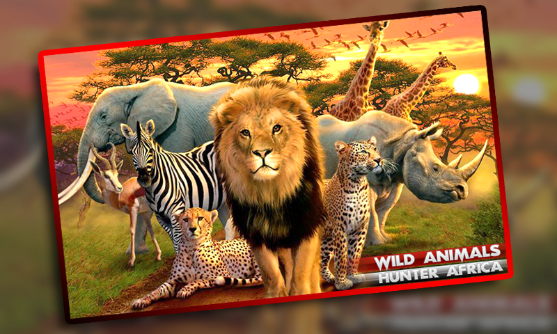疯狂 动物 猎人 非洲截图1