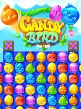 Candy Birds 2018截图1