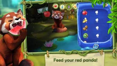 My Red Panda - The cute animal simulation截图5