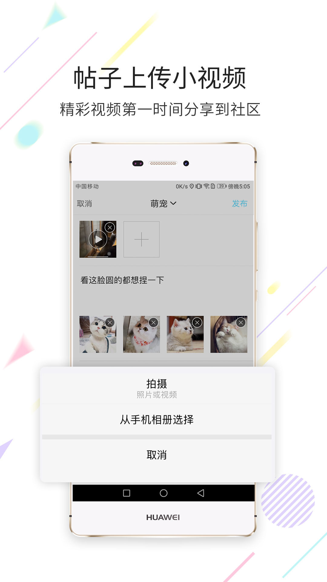 化龙巷v5.2.0截图2