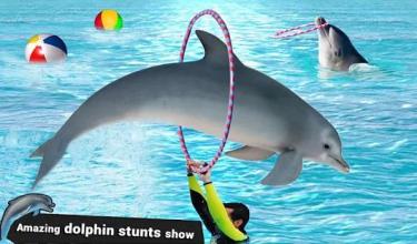 Water Park Dolphin Show Water World Dolphin Games截图4