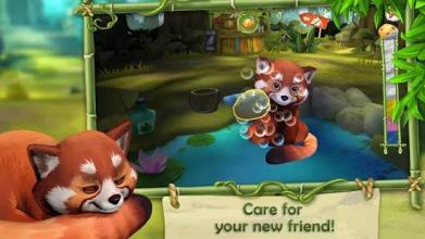 My Red Panda - The cute animal simulation截图3