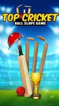 Top Cricket Ball Slope Game截图3