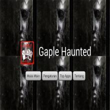 GAPLE HAUNTED 2018截图4