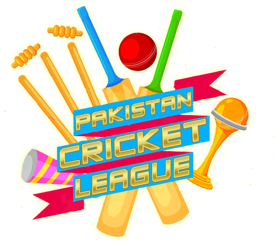 PCL Cricket Fever截图5