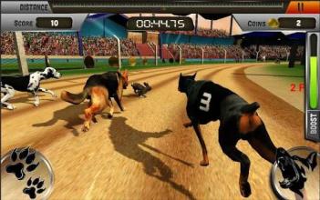 Crazy Dog Hunting Race Simulator 3D : 2018截图3