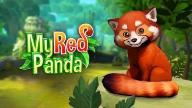 My Red Panda - The cute animal simulation截图1