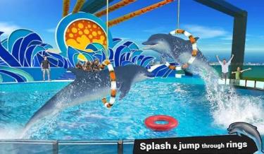 Water Park Dolphin Show Water World Dolphin Games截图1