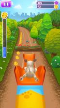 Pet Run - Puppy Dog Game截图4