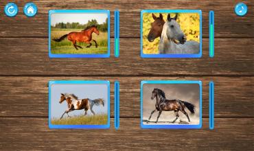 Horse Puzzle Game截图5